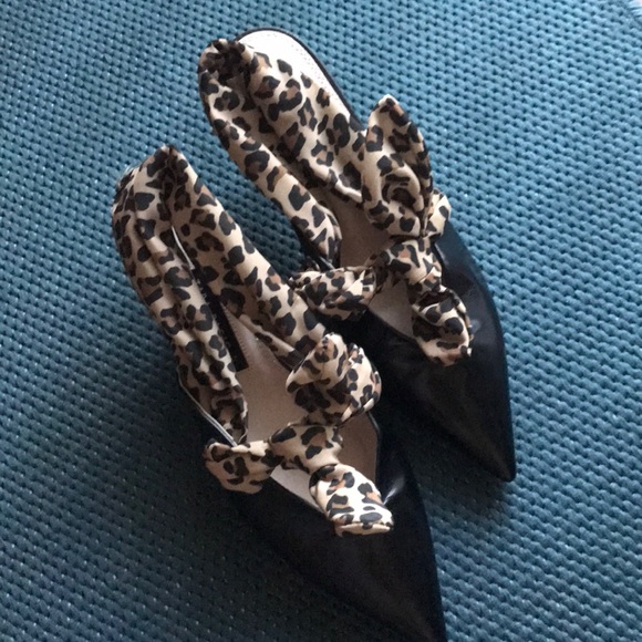 Zara - Picture 5 of 5